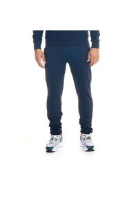 LEONE 1947 APPAREL - Męskie spodnie dresowe Leone Lifestyle. Kolor: niebieski. Materiał: dresówka. Sport: fitness