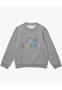Lacoste - LACOSTE - Szara bluza z kolorowym haftem. Kolor: szary. Materiał: prążkowany, bawełna, polar. Wzór: haft, kolorowy