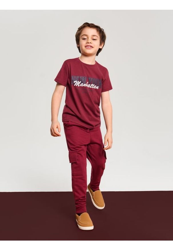 Sinsay - Bawełniana koszulka z napisem - bordowy. Kolor: czerwony. Materiał: bawełna. Wzór: napisy