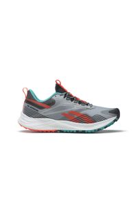 Buty do biegania Reebok Floatride Energy 4 Adventure. Kolor: szary