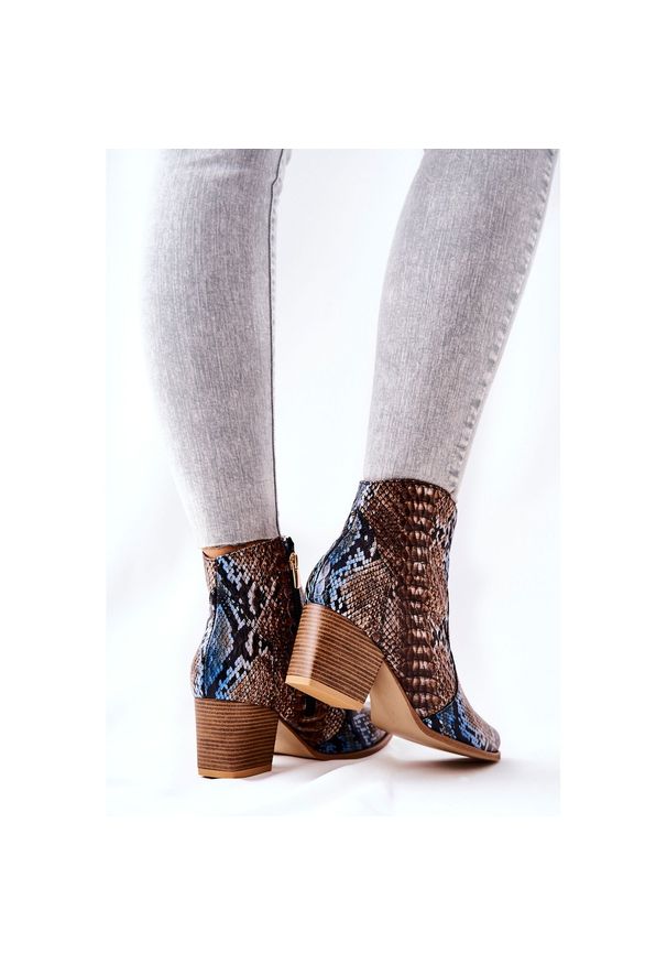 Lewski Shoes Botki Kowbojki Lewski Brązowo-Niebieskie Wężowy Wzór EV28 brązowe. Zapięcie: zamek. Kolor: wielokolorowy, brązowy, niebieski. Materiał: skóra. Sezon: zima, jesień. Obcas: na obcasie. Wysokość obcasa: średni