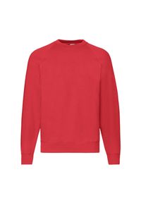 FRUIT OF THE LOOM - Męska Klasyczna Bluza Raglanowa. Kolor: czerwony. Długość rękawa: raglanowy rękaw