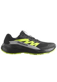 salomon - Buty do biegania męskie Salomon Alphaglide Gtx. Zapięcie: sznurówki. Kolor: wielokolorowy. Materiał: materiał, tkanina, syntetyk. Szerokość cholewki: normalna
