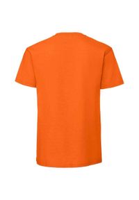 FRUIT OF THE LOOM - Męska Koszulka Iconic 195 Z Bawełny Premium Ringspun. Kolor: żółty, pomarańczowy, wielokolorowy. Materiał: bawełna. Sport: turystyka piesza #2