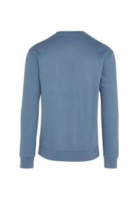 SG - Bluza Unisex Dla Dorosłych Z Bawełny Ringspun Bez Metki. Kolor: niebieski, szary. Materiał: bawełna
