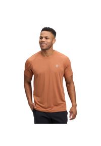 Koszulka Black Diamond Lightwire Tech. Kolor: wielokolorowy, brązowy, pomarańczowy. Sport: turystyka piesza, wspinaczka #2