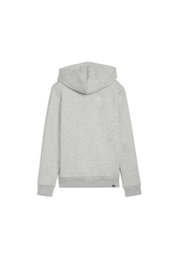 Bluza sportowa damska Puma Ess+ Logo Lab Fl. Kolor: szary