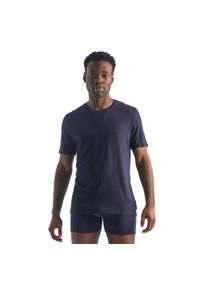 Koszulka męska Icebreaker Anatomica SS Crewe Snow T-Shirt. Kolor: niebieski