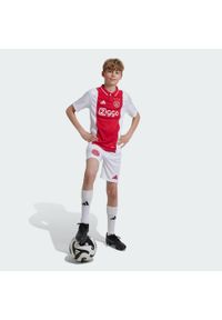 Adidas - Szorty Ajax Amsterdam 24/25 Home Kids. Kolor: biały. Materiał: materiał