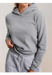 Sinsay - Bluza z kapturem basic - szary. Typ kołnierza: kaptur. Kolor: szary