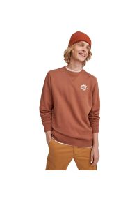 Bluza O'Neill Surf State Crew, Mężczyźni. Kolor: brązowy. Materiał: bawełna, materiał. Długość rękawa: długi rękaw