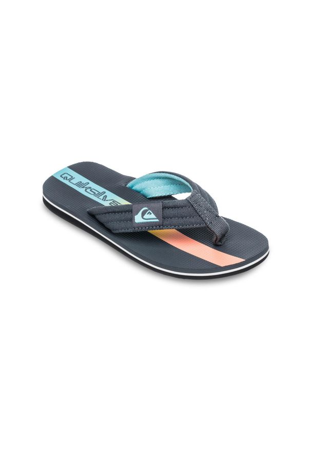 Quiksilver - Sandały chłopięce MOLOKAI LAYBACK. Kolor: szary, niebieski, wielokolorowy. Materiał: bawełna. Sezon: lato