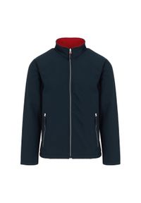 Regatta - Męska Bluza Polarowa Ascender. Kolor: czerwony, niebieski, wielokolorowy. Materiał: polar. Sezon: zima. Styl: sportowy. Sport: turystyka piesza #1