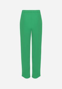 Born2be - Zielone Spodnie Regular z Wyższym Stanem i Prostymi Nogawkami Arcadiasa. Stan: podwyższony. Kolor: zielony #3