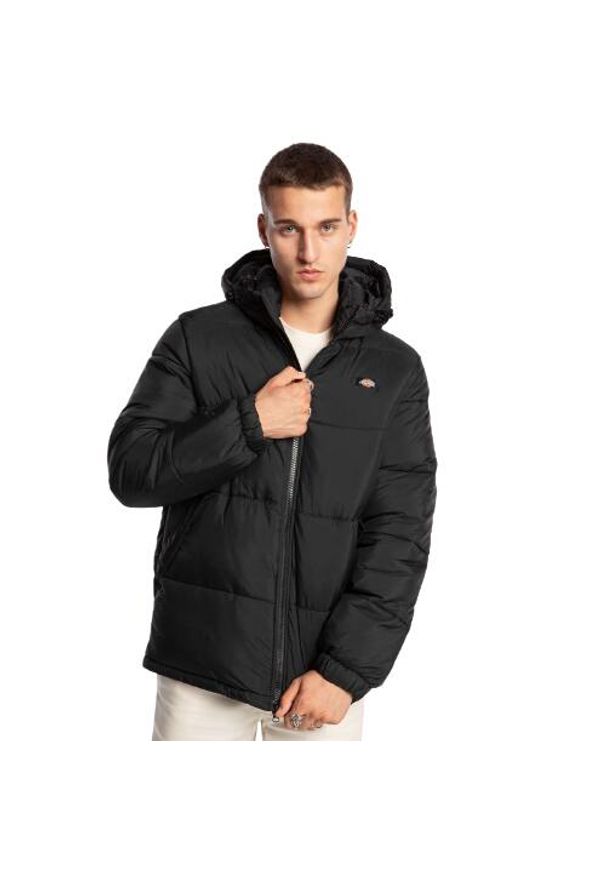 Kurtka zimowa męska Dickies Waldenburg Hooded. Kolor: czarny. Sezon: zima. Styl: sportowy. Sport: turystyka piesza