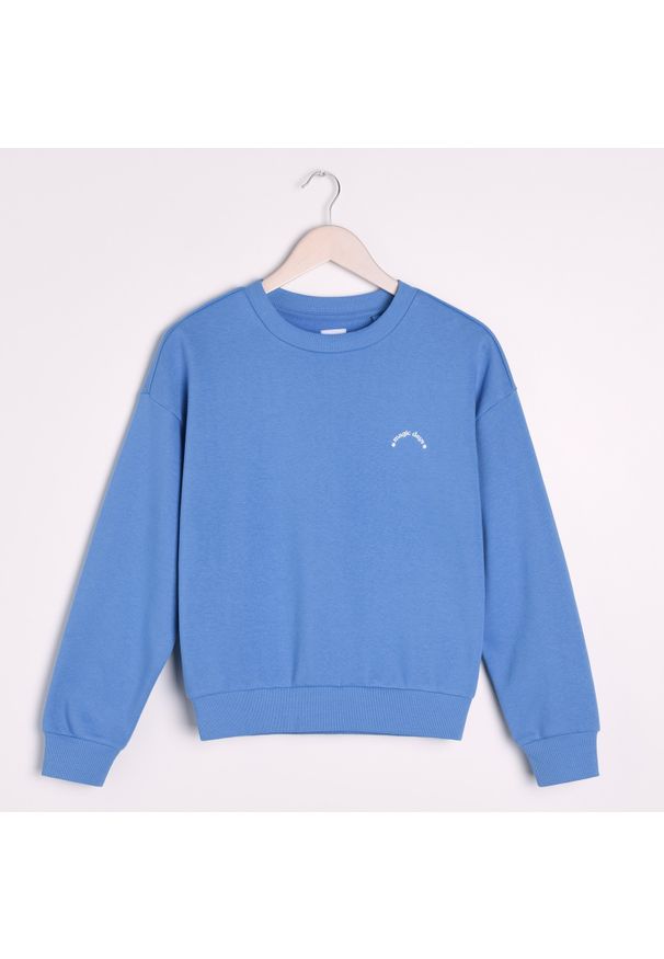 Sinsay - Bluza z haftem - Niebieski. Kolor: niebieski. Wzór: haft
