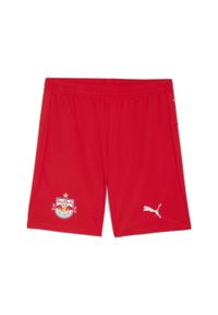 Puma - Męskie szorty FC Red Bull Salzburg 25/26 PUMA Red White. Kolor: czerwony, biały, wielokolorowy. Materiał: tkanina. Sport: fitness, piłka nożna