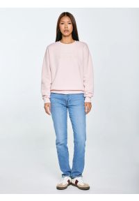 Big-Star - Bluza damska z haftem pudrowy róż Ellsa 600. Okazja: na co dzień. Kolor: różowy. Materiał: jeans, dresówka, dzianina. Wzór: haft. Styl: klasyczny, casual