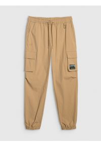 4f - 4F Spodnie casual cargo męskie - beżowe XS. Okazja: na co dzień. Kolor: beżowy. Styl: casual