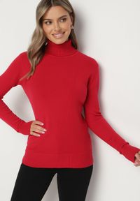 Born2be - Czerwony Sweter z Golfem z Domieszką Kaszmiru i Wiskozy Zaisma. Okazja: na co dzień. Typ kołnierza: golf. Kolor: czerwony. Materiał: wiskoza, kaszmir. Długość rękawa: długi rękaw. Długość: długie. Styl: casual, elegancki #3