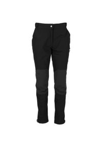 Spodnie damskie Whistler Wander W-Pro 10000. Kolor: szary, wielokolorowy, brązowy, czarny. Sezon: lato. Sport: turystyka piesza #1