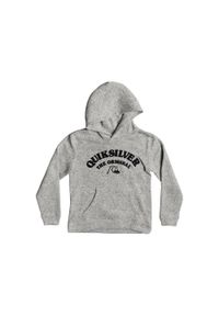 Bluza chłopięca Quiksilver Keller Hood z polarem. Kolor: szary. Materiał: polar