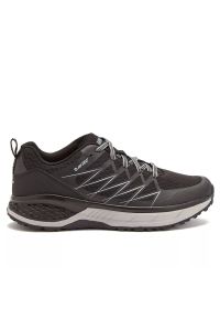 Hi-tec - Buty męskie trekkingowe Hi-Tec Trail Destroyer Low, Rozmiar buta 42. Szerokość cholewki: normalna. Sport: turystyka piesza, wspinaczka #1