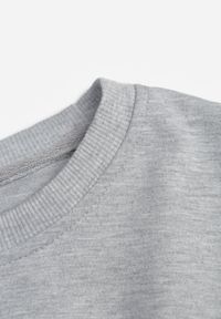 Renee - Jasnoszara Bluza z Bawełną ze Ściągaczami przy Rękawach i w Pasie Alberia. Kolor: szary. Materiał: bawełna #5