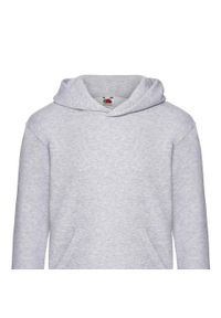 FRUIT OF THE LOOM - Bluza Dziecięca Premium Plain Hoodie. Kolor: szary