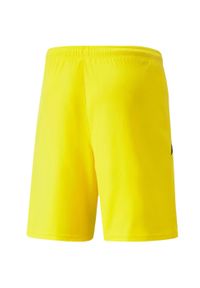 Puma - Męskie Spodenki Team Liga. Kolor: żółty