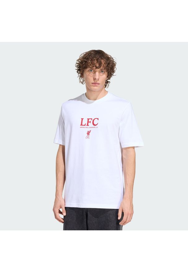 Adidas - Koszulka Liverpool FC Seasonal Graphic. Kolor: biały. Materiał: dzianina. Sport: piłka nożna