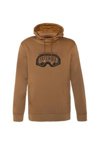 Protest - KLASYCZNA Bluza męska z kapturem i logo. Typ kołnierza: kaptur. Kolor: brązowy. Sport: skateboard #1