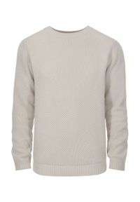 Ochnik - Sweter beżowy męski. Kolor: szary. Materiał: akryl. Długość rękawa: długi rękaw. Długość: długie. Wzór: jodełka #3