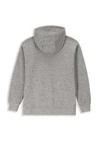 Lemon Explore - Bluza sportowa dziecięcy Lemon Exlopre ZL3 z kapturem. Typ kołnierza: kaptur. Kolor: szary. Materiał: wiskoza, bawełna. Wzór: nadruk. Sport: turystyka piesza