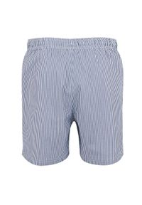 Regatta - Męskie Spodenki Kąpielowe Loras Stripe Seersucker. Kolor: niebieski