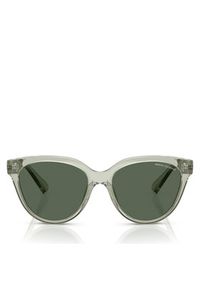 Armani Exchange Okulary przeciwsłoneczne 0AX4148SU 56 836071 Zielony. Kolor: zielony #4