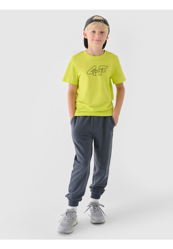 4f - 4F T-shirt z nadrukiem chłopięcy - zielony 158 (12-13 lat). Okazja: na co dzień. Kolor: zielony. Materiał: bawełna, jersey, dzianina. Długość rękawa: krótki rękaw. Długość: krótkie. Wzór: nadruk. Sezon: lato. Styl: sportowy, casual, klasyczny