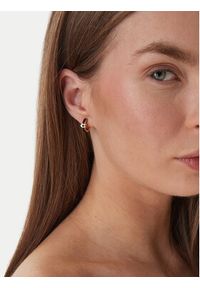 Coach Kolczyki 37560726 Złoty. Materiał: ze stali, ze stali nierdzewnej. Kolor: złoty #2