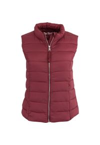 THE RUNNING REPUBLIC - THE PEOPLE REP. Havera damska kamizelka pikowana Bordeaux S. Typ kołnierza: kołnierzyk stójkowy. Kolor: czerwony, wielokolorowy, brązowy. Materiał: puch #1