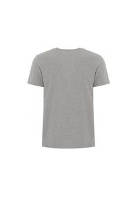 Ochnik - T-shirt męski. Kolor: szary. Materiał: bawełna #3