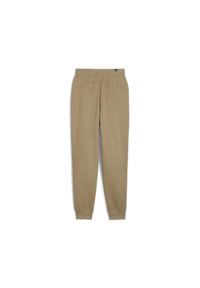 Puma Spodnie Ess+ Embroidery Fl 67000767. Kolor: brązowy