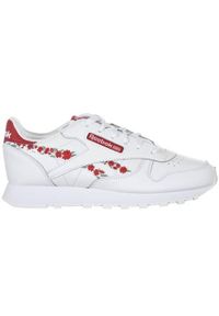 Buty do chodzenia dla dzieci Reebok Dziecięce Cl Lthr. Kolor: wielokolorowy. Materiał: materiał, syntetyk. Szerokość cholewki: normalna. Sport: turystyka piesza