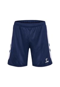Szorty dla dzieci Hummel. Kolor: niebieski, biały, wielokolorowy. Materiał: materiał. Styl: sportowy