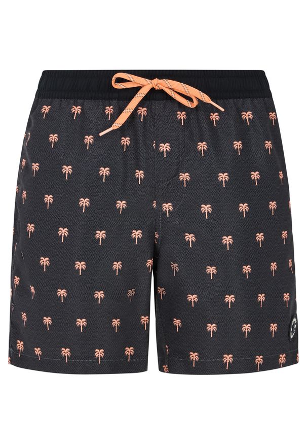 Protest - Szorty plażowe męskie PROTEST PRTParco. Kolor: wielokolorowy, szary, czarny