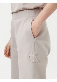 Calvin Klein Jeans Spodnie dresowe Raised J20J224841 Szary Relaxed Fit. Kolor: szary. Materiał: bawełna