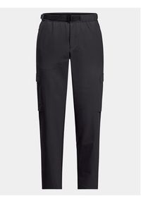 Jack Wolfskin Spodnie outdoor Wandermood Pants 1508401 Czarny Regular Fit. Kolor: czarny. Materiał: syntetyk. Sport: outdoor