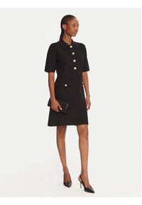 Fracomina Sukienka codzienna FR25WD5005K55301 Czarny Regular Fit. Okazja: na co dzień. Kolor: czarny. Materiał: syntetyk. Typ sukienki: proste. Styl: casual