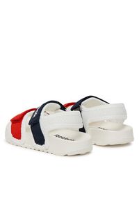 Reebok Sandały CP50-26023(III) Biały. Kolor: biały. Materiał: materiał