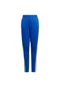Adidas - Spodnie piłkarskie dla dzieci adidas Squadra 21 Training Pant Youth. Kolor: niebieski, wielokolorowy, żółty. Sport: piłka nożna