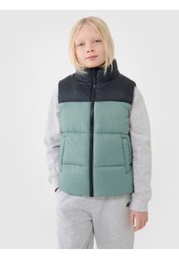 4f - 4F Bezrękawnik puchowy z wypełnieniem syntetycznym chłopięcy - zielony 152 (11-12 lat). Okazja: na co dzień. Typ kołnierza: kołnierzyk stójkowy. Kolor: zielony. Materiał: puch, syntetyk. Długość rękawa: bez rękawów. Długość: długie. Sezon: lato. Styl: sportowy, klasyczny, casual #1